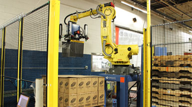 Robotic Arm Depalletizer