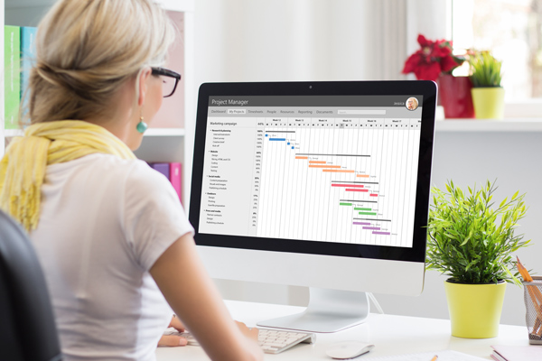 Project Manager at Desk