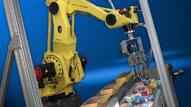 Fanuc Robot Picking Product & Packing