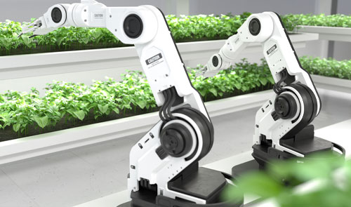 Robotic Arms Gardening