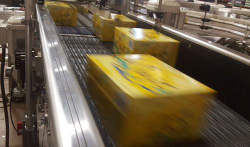 Packaging Automation Conveyor